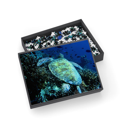 A Sea Turtle's Coral Realm Journey